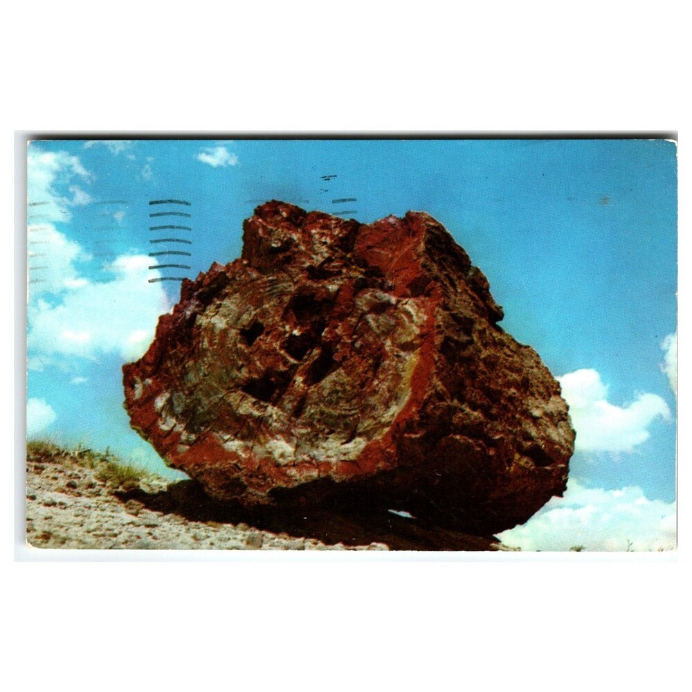 Petrified Forest National Monument Arizona Vintage Chrome Postcard 1960